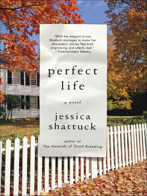 cover image of Perfect Life